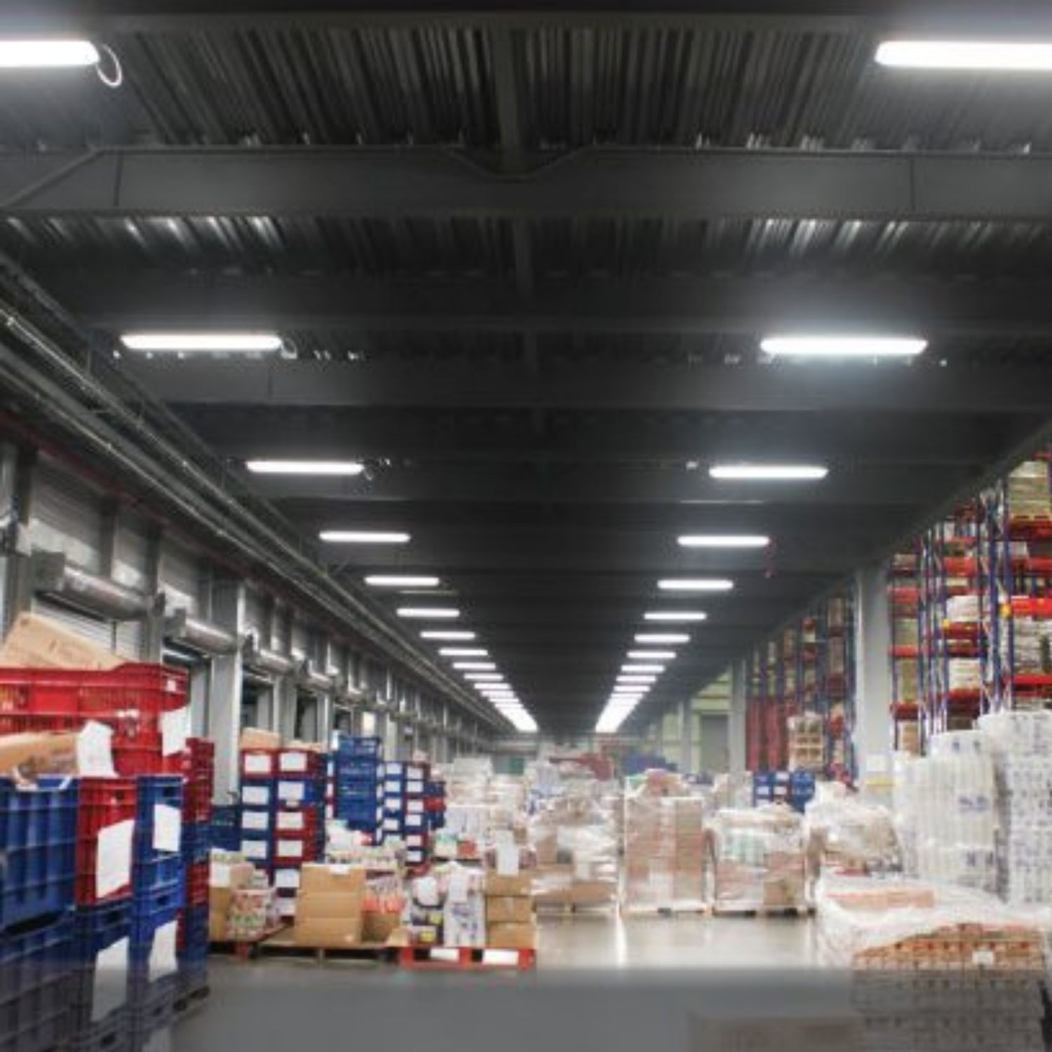 Gabinete LED con mica transparente - Wattko